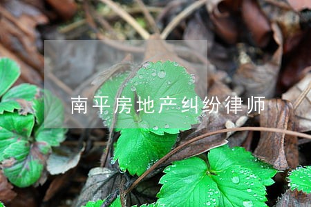 南平房地产纠纷律师 南平房地产纠纷律师