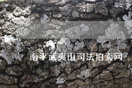 南平武夷山司法拍卖网 南平武夷山司法拍卖网