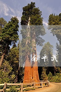 南平武夷山法院景区法庭 南平武夷山法院景区法庭