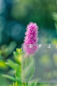 南平法院陈芳 南平法院陈芳