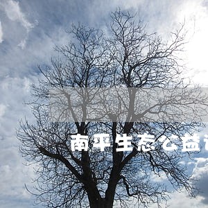 南平生态公益诉讼
