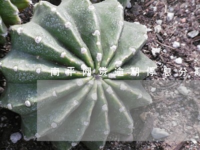 南平网贷逾期停息分期申请条件 南平网贷逾期停息分期申请条件