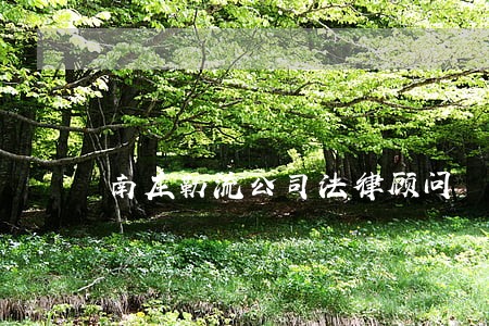 南庄勒流公司法律顾问 南庄勒流公司法律顾问
