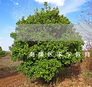 南康区求学教育在线律师咨询 南康区求学教育在线律师咨询