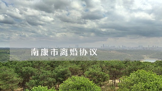 南康市离婚协议 南康市离婚协议