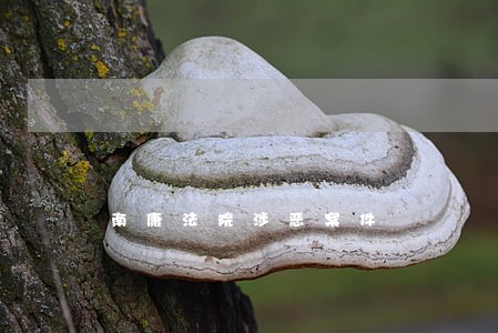 南康法院涉恶案件 南康法院涉恶案件