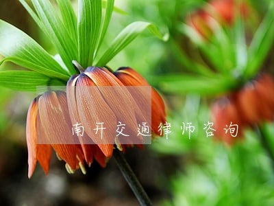 南开交通律师咨询 南开交通律师咨询