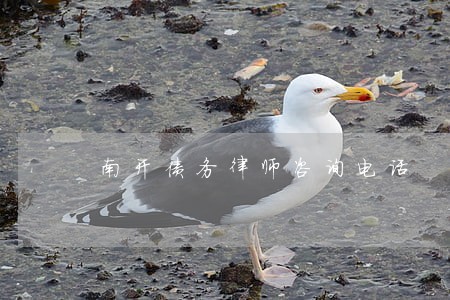 南开债务律师咨询电话 南开债务律师咨询电话