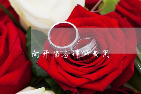 南开债务律师费用 南开债务律师费用