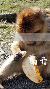 南开债务纠纷律师事务所 南开债务纠纷律师事务所