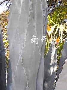 南开区拆迁律师咨询 南开区拆迁律师咨询
