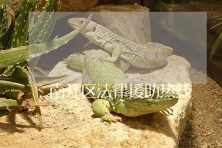 南开区法律援助热线 南开区法律援助热线