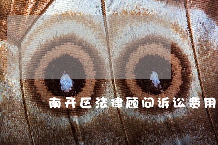 南开区法律顾问诉讼费用 南开区法律顾问诉讼费用