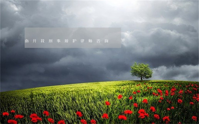 南开找刑事辩护律师咨询 南开找刑事辩护律师咨询