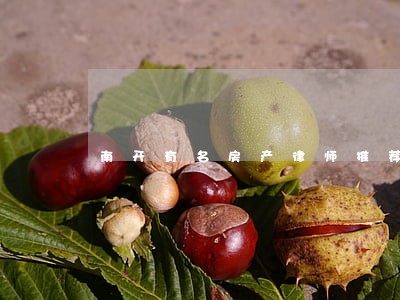 南开有名房产律师推荐 南开有名房产律师推荐