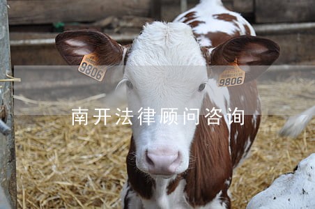 南开法律顾问咨询 南开法律顾问咨询