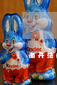 南开法院李之圣