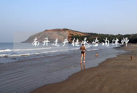 南开遗产继承咨询律师 南开遗产继承咨询律师