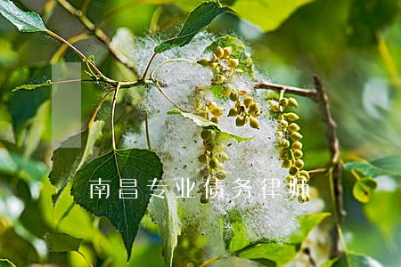 南昌专业债务律师 南昌专业债务律师