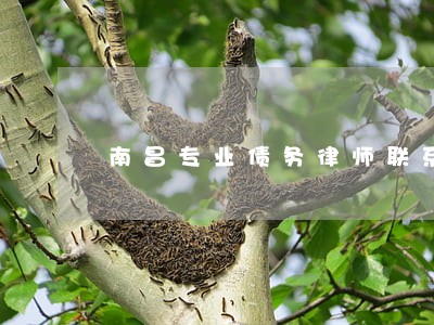 南昌专业债务律师联系方式