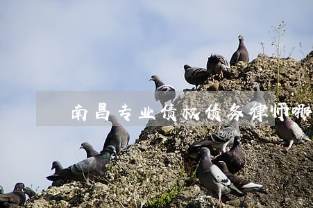 南昌专业债权债务律师哪个好 南昌专业债权债务律师哪个好