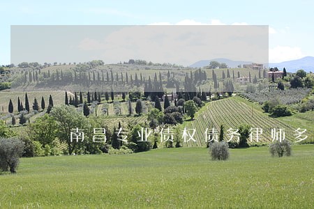 南昌专业债权债务律师多少钱 南昌专业债权债务律师多少钱