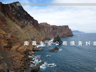 南昌专业公司债务纠纷律师哪家强 南昌专业公司债务纠纷律师哪家强