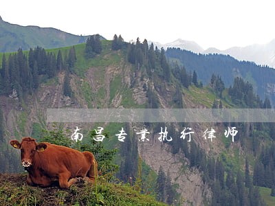 南昌专业执行律师 南昌专业执行律师