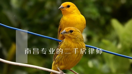 南昌专业的二手房律师 南昌专业的二手房律师
