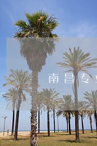 南昌专业的债权债务律师在线咨询 南昌专业的债权债务律师在线咨询