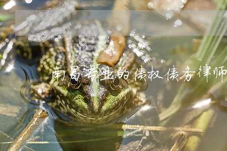 南昌专业的债权债务律师收费标准 南昌专业的债权债务律师收费标准