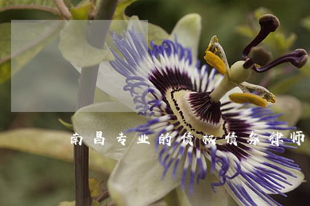南昌专业的债权债务律师电话咨询 南昌专业的债权债务律师电话咨询