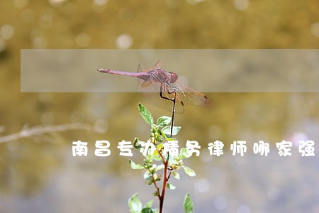 南昌专办债务律师哪家强 南昌专办债务律师哪家强