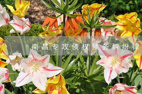 南昌专攻债权债务纠纷律师介绍 南昌专攻债权债务纠纷律师介绍