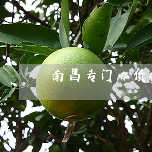 南昌专门办债权债务律师收费标准 南昌专门办债权债务律师收费标准