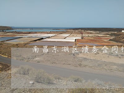 南昌东湖区债务合同律师 南昌东湖区债务合同律师