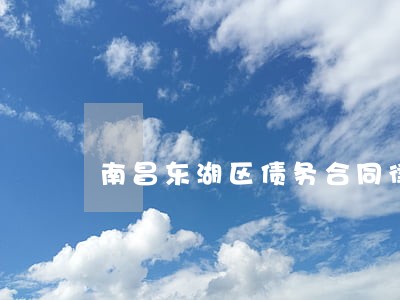 南昌东湖区债务合同律师推荐