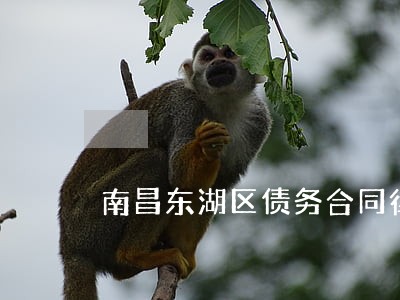 南昌东湖区债务合同律师收费 南昌东湖区债务合同律师收费