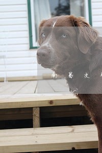 南昌交警发违法信息网 南昌交警发违法信息网