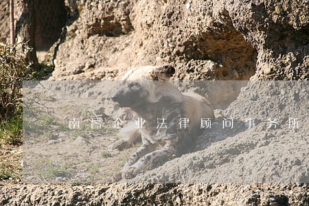 南昌企业法律顾问事务所 南昌企业法律顾问事务所