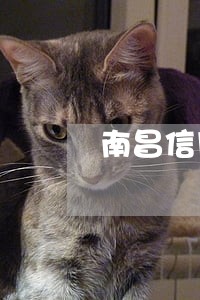 南昌信用卡逾期修复 南昌信用卡逾期修复