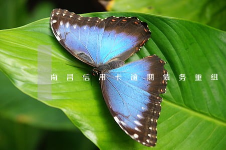 南昌信用卡逾期债务重组怎么协商