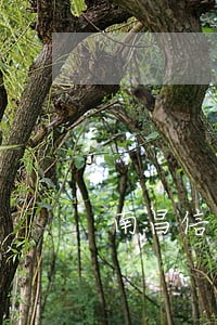 南昌信用卡逾期函件