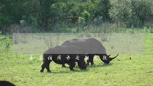 南昌信用卡逾期欠款 南昌信用卡逾期欠款