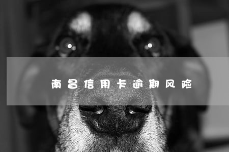 南昌信用卡逾期风险