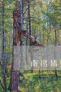 南昌债务合同律师微信咨询 南昌债务合同律师微信咨询