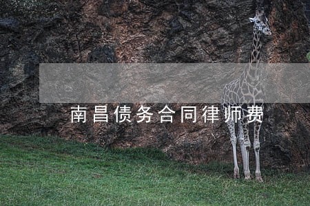 南昌债务合同律师费 南昌债务合同律师费