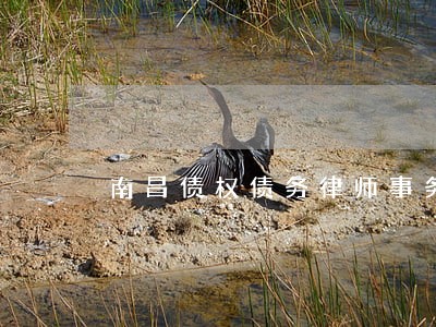 南昌债权债务律师事务所违约 南昌债权债务律师事务所违约
