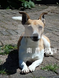 南昌办理债务律师哪个好 南昌办理债务律师哪个好