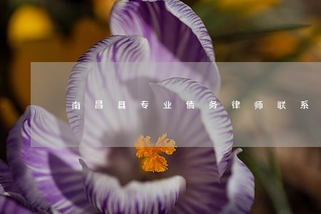 南昌县专业债务律师联系方式 南昌县专业债务律师联系方式